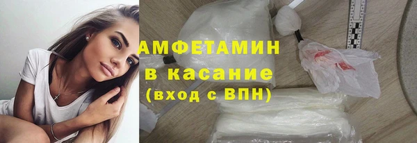 индика Михайловск