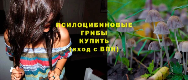 молекула духа Абинск