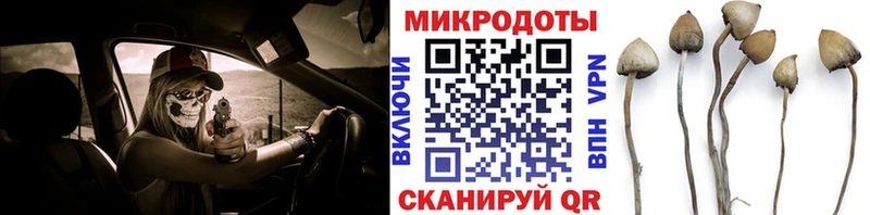 блэк спрут ССЫЛКА купить закладку Чита Галлюциногенные грибы мицелий
